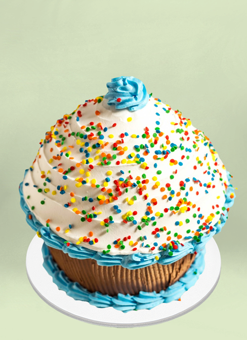 Photo: giant frosted cupcake shaped cake with rainbow sprinkles