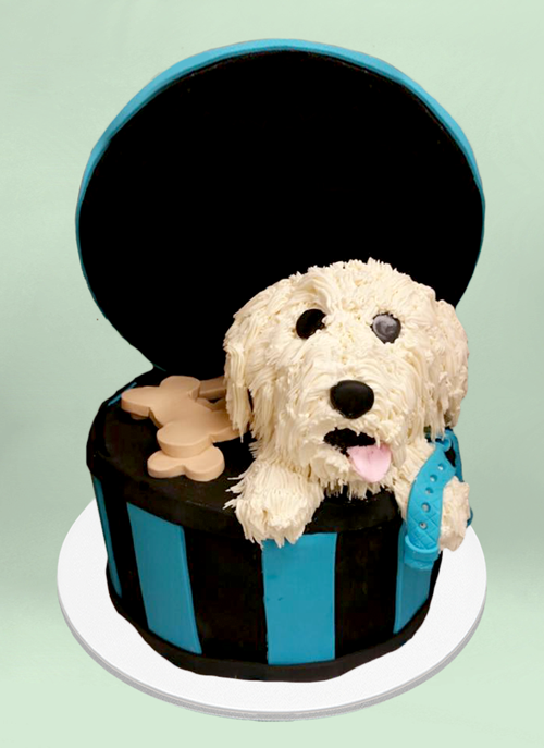 Photo: fondant circle box with 3d frosted dox sticking out and fondant dog treats