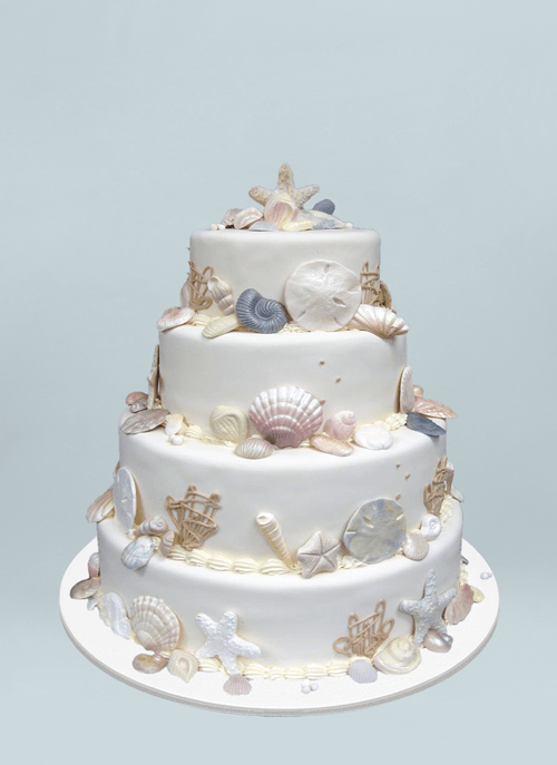 Photo: white fondant cake covered with assorted types of shimmering sugar seashells